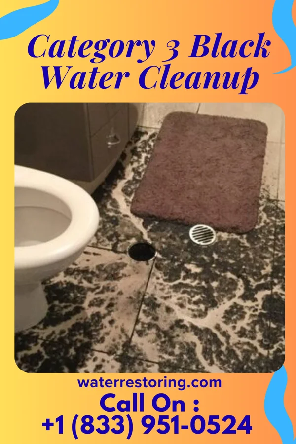 Category 3 Black Water Cleanup in Garfield Heights, OH